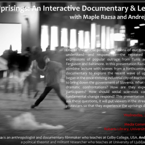 The Uprisings: An Interactive Documentary & Lecture with Maple Razsa and Andrej&nbsp;Kurnik