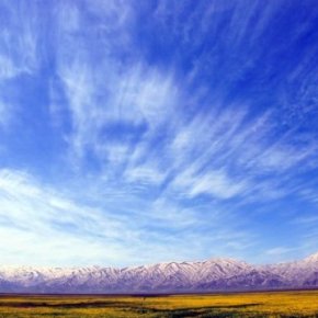 Navigating Dangerous Fields: Storytelling, Waiting and Ethnography as not “Writing Down” by Omer&nbsp;Ozcan