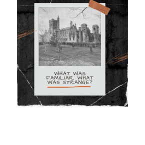 What was Familiar, What was Strange?: Rediscovering the University Through a Lens of Curiosity and&nbsp;Complexity