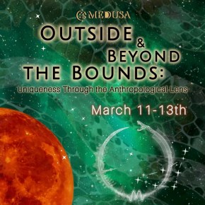 MEDUSA: Call for&nbsp;Abstracts